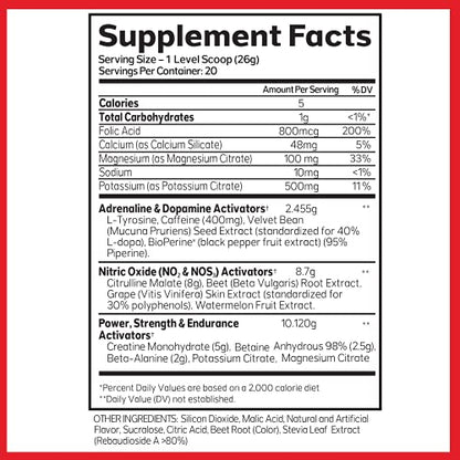 Advanced Molecular Labs - Preworkout Powder, Increases Drive, Performance Enhancer AML ADVANCED MOLECULAR LABSUS supplements