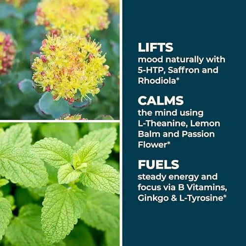 LifeSeasons - Mood Stabili-T - Positive Mood Booster - Enhanced Calmness and Happiness - Relaxed and Balanced Mind LifeSeasonsAu supplements
