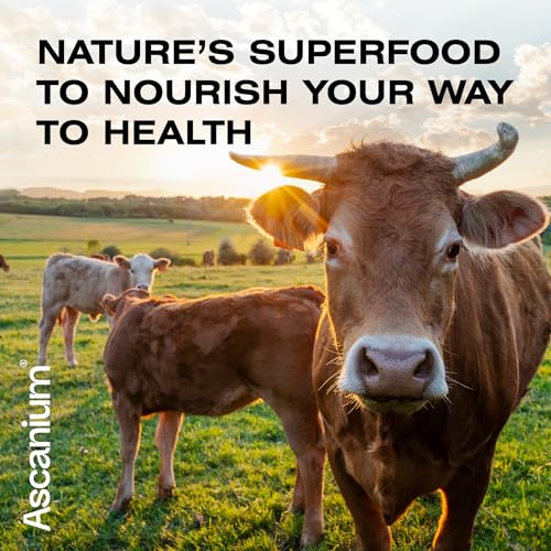 Colostrum Powder - Grass-Fed 40% IgG Colostrum Supplement Powder - Bovine AscaniumUS supplements