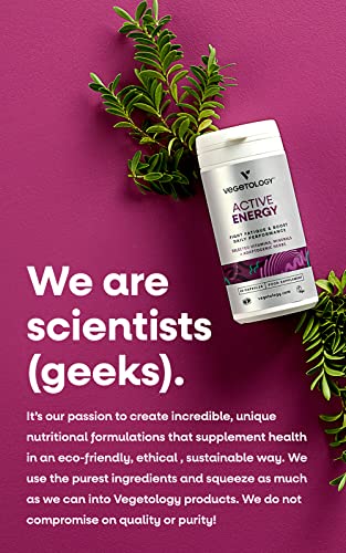 Vegetology Energy Supplements – Iron, Vitamin C & B2, B12, Folate & More – Vitamin Supple VEGETOLOGYUS supplements