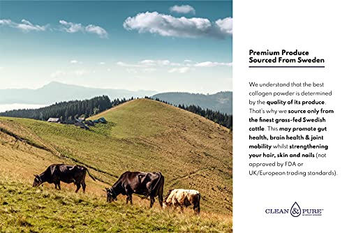 Clean & Pure Collagen Powder, Lab Tested Bovine Peptides with No or Zero Growth Hormones, Pesticides or Vet Meds - 400g Lean CaffeineUS supplements