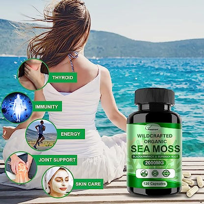 Fleamart 2 Pack Irish Sea Moss Capsules 120ct Raw Organic Sea Moss Wildcrafted Bladder FleamartUS supplements
