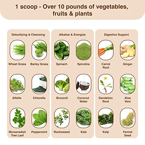 Detox Organics Chocolate Superfood Powder, Detox Cleanse for your Body, Bloating Relief Detox OrganicsAu supplements