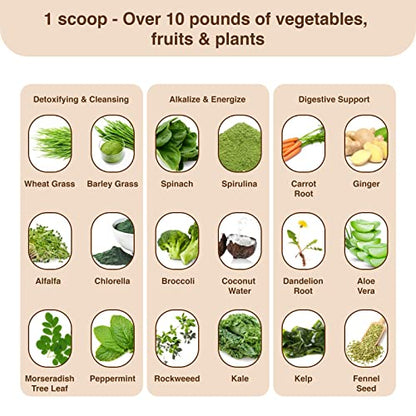 Detox Organics Chocolate Superfood Powder, Detox Cleanse for your Body, Bloating Relief Detox OrganicsUS supplements