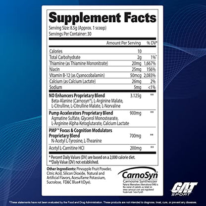 GAT SPORT PMP (Peak Muscle Performance), Pre-Workout, 30 Servings (Blue Raspberry GAT SPORTUS supplements