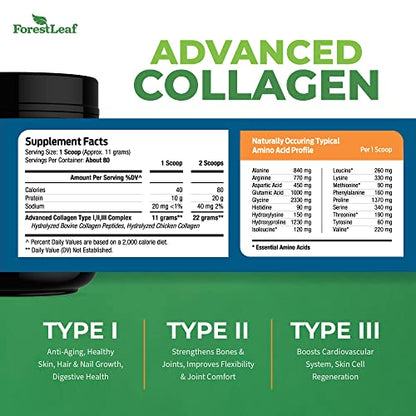 Collagen Peptides Powder Unflavored - Hydrolyzed Collagen Protein ForestLeafUS supplements