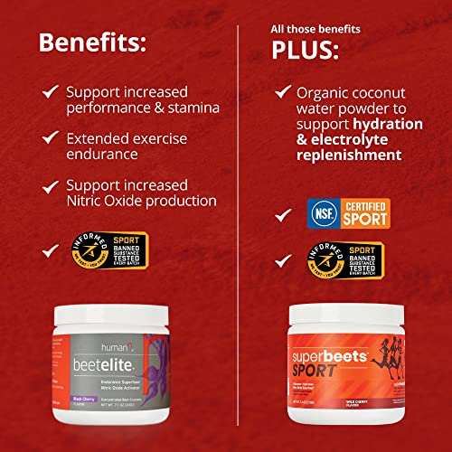 humanN SuperBeets Sport Pre Workout Powder – NSF Certified for Sport – Caffeine Free humanNAu supplements