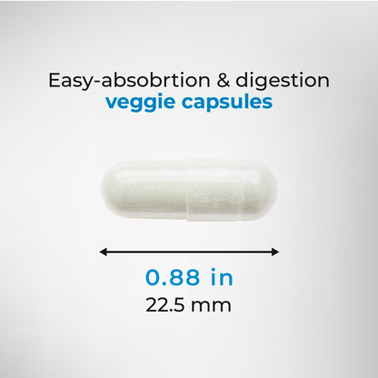 Biogenique Acai Berry Extract & Psyllium Powder, Energy Boost, Free Radical Scavenger BiogeniqueUS supplements