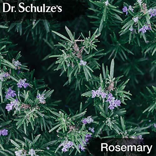 Brain Formula 2 oz. - Vegan and Wild-Harvested | Stimulates Circulation and and Improved Dr. Schulze'sUS supplements