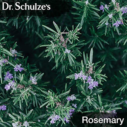 Brain Formula 2 oz. - Vegan and Wild-Harvested | Stimulates Circulation and and Improved Dr. Schulze'sUS supplements