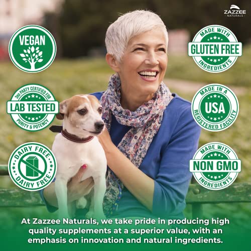 Zazzee High Absorption Artemisinin, 100 mg per Capsule, 120 Vegan Capsules, with 5 mg ZazzeeUS supplements