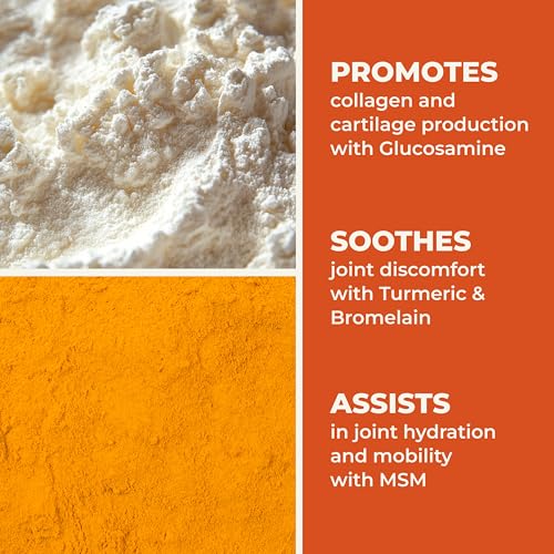 LifeSeasons Mobili-T - Joint Support Supplement - Reduces Aches & Discomforts - Increase Range of Motion - Rebuild Tissue & Cartilage - MSM Chondroitin Collagen Glucosamine & Turmeric - 120 Capsules LifeSeasonsAu supplements