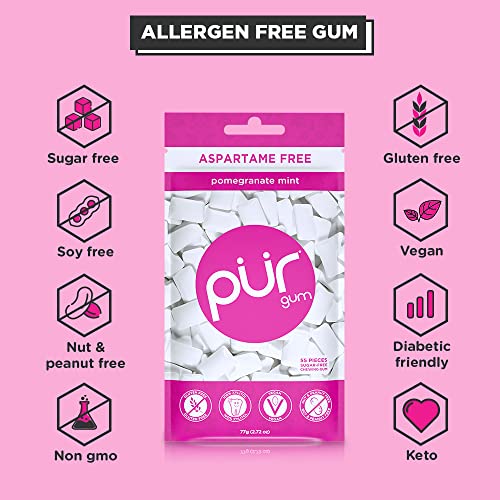 PUR Gum | Aspartame Free Chewing Gum | 100% Xylitol | Natural Pomegranate PURUS supplements