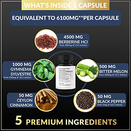 BMVINVOL 5-in-1 Berberine Supplement 6100mg with Ceylon Cinnamon, Gymnema Sylvestre BMVINVOLAu supplements
