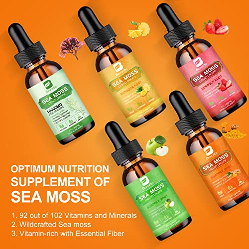 B BEWORTHS Sea Moss Liquid Drops - Organic Irish Sea Moss Raw Gel with Burdock Root B BEWORTHSUS supplements