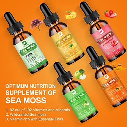 B BEWORTHS Sea Moss Liquid Drops - Organic Irish Sea Moss Raw Gel with Burdock Root B BEWORTHSUS supplements