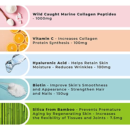 Wild-Caught Marine Collagen Complex Capsules with Hyaluronic Acid | 120 Capsules - 2 Month Supply LOVE LIFE SUPPLEMENTSUS supplements