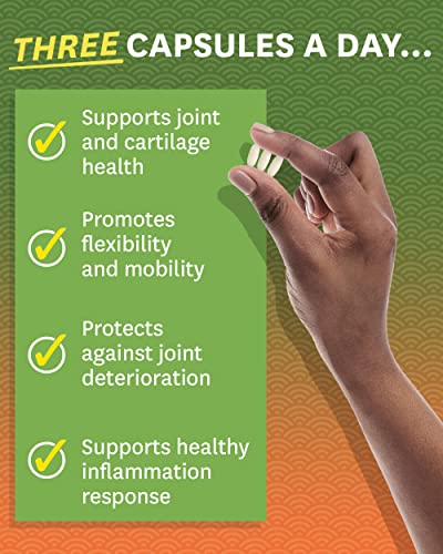 Zenwise Health Glucosamine Chondroitin MSM - Joint Support Supplement with Turmeric Zenwise HealthUS supplements