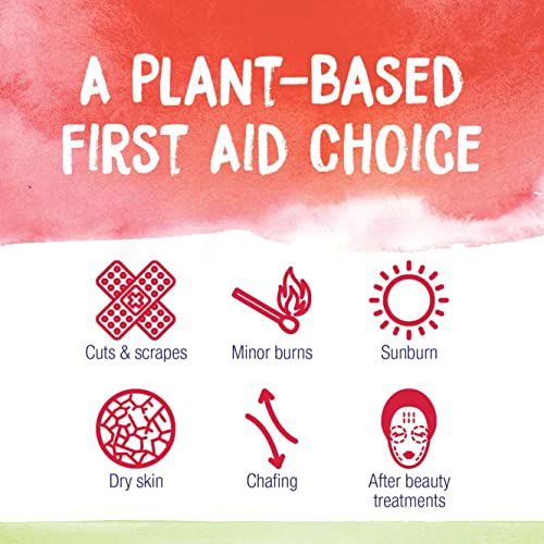 Boiron Calendula Cream for First Aid, Minor Burns, Cuts, Scrapes, Insect Bits and Sunburn - 2.5 oz BoironAu supplements