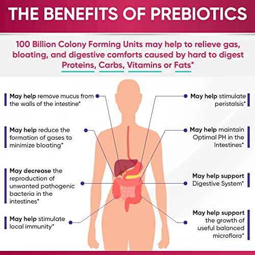 Dr. Formulated Raw Probiotics for Women 100 Billion CFUs with Prebiotics Wholesome WellnessAu supplements