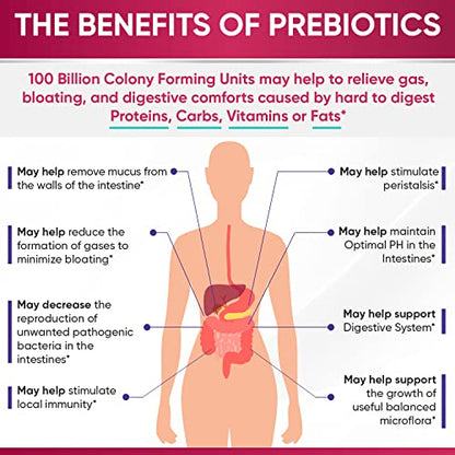 Dr. Formulated Raw Probiotics for Women 100 Billion CFUs with Prebiotics Wholesome WellnessUS supplements