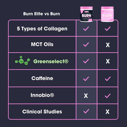 Obvi Burn Elite, Collagenic Thermogenic for Weight Loss, Boost Energy and Focus ObviUS supplements