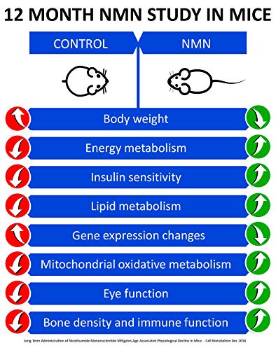 MAAC10 NMN Supplement Real Nicotinamide Mononucleotide (NMN 125mg Capsules). The Most Powerful NAD+ Precursor More Stable Than Riboside. We use 99% Pure Pharmaceutical Grade Stabilized NMN (30 Count) MAAC10Au supplements