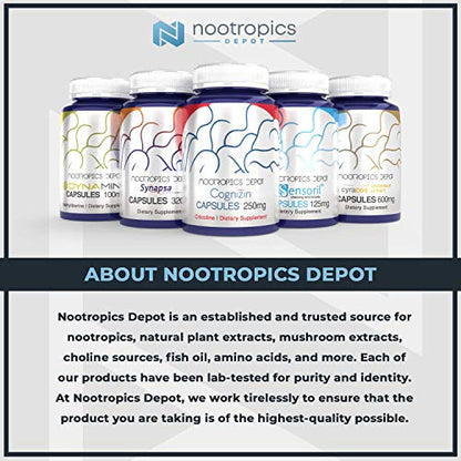 Nootropics Depot Agmatine Sulfate Capsules | 250mg | 240 Count | Energy Supplement Nootropics DepotUS supplements