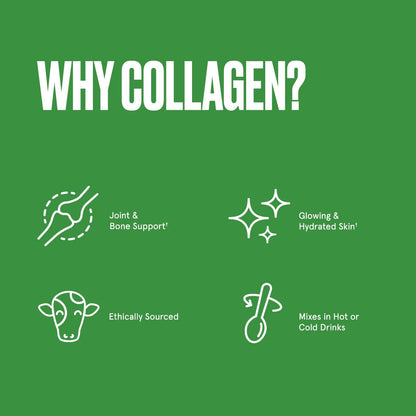 Bulletproof Unflavored Collagen Protein Powder, 17.6 Ounces, Grass-Fed Collagen Peptides BulletproofUS supplements