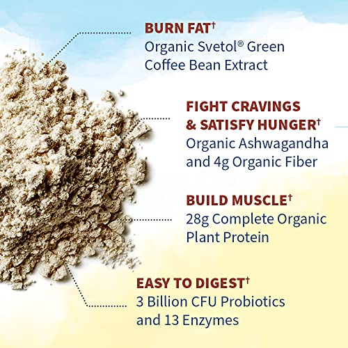 Garden of Life Raw Organic Fit Vegan Protein Powder Coffee, 28g Plant Based Protein Garden of LifeUS supplements