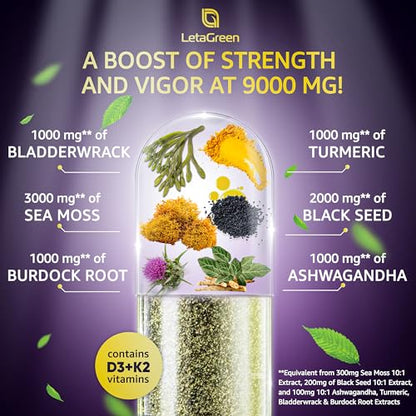 LetaGreen Irish Sea Moss Capsules – 120 Wildcrafted Sea Moss Pills with Black Seed Oil LetaGreenUS supplements