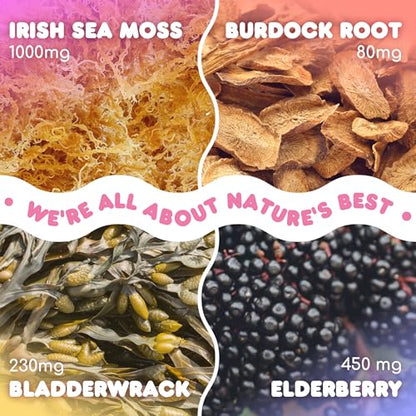 Biolore Sea Moss Gummies with Elderberry, Contains Irish Sea Moss, Organic Extract BioloreUS supplements