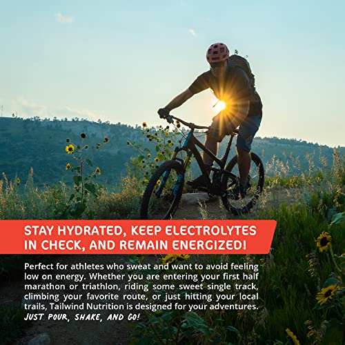 Tailwind Nutrition Endurance Fuel, Caffeine Drink Mix with Electrolytes TailwindUS supplements