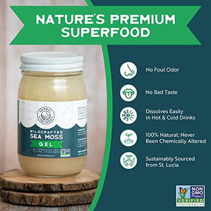 Herbal Vineyards Natural Organic Wildcrafted Gold Raw Sea Moss Gel for Immune Support Herbal VineyardsUS supplements