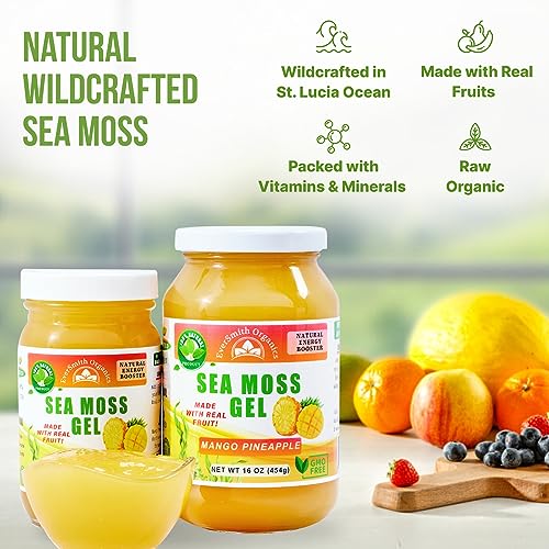 EverSmith Organics - Wildcrafted Irish Sea Moss Gel | Made in USA | Rich in Vitamins EverSmith OrganicsUS supplements