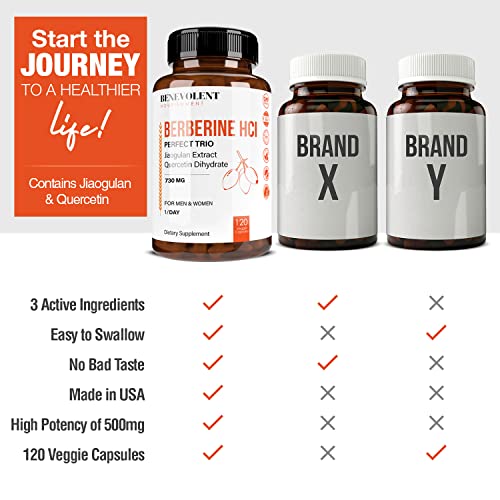 Premium Berberine HCL 730mg - 120 VCAPS Perfect Trio Complex with Non-GMO Jiaogulan Benevolent NourishmentAu supplements