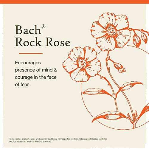 Bach Original Flower Remedies, Rock Rose for Courage (Non-Alcohol Formula), Natural Homeopathic BachAu supplements