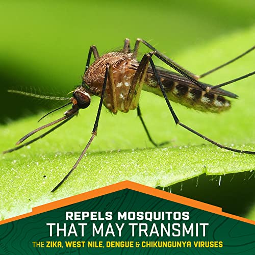 Repel 100 Insect Repellent, Pump Spray, 4-Fluid Ounces, 10-Hour Protec RepelUS supplements