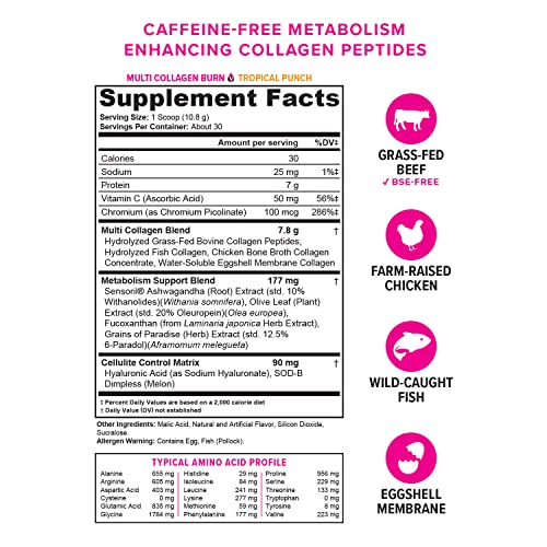 Hydrolyzed Collagen Peptides Powder for Women - Slimming Multi Collagen Burn Ultimate VitauthorityUS supplements