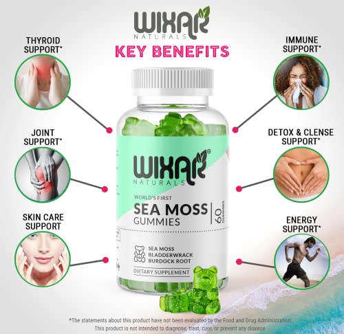 WIXAR NATURALS Sea Moss Gummies - Natural Irish Sea Moss and Bladderwrack WIXAR NATURALSAu supplements