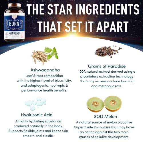 Thermogenic Multi Collagen Burn Capsules - Hydrolyzed Multi Collagen Complex Types WINDSOR BOTANICALSUS supplements