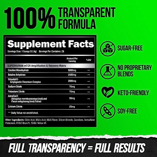 ALPHA LION Superhuman Pre Workout Powder & Post Workout Recovery Bundle, Sustained ALPHA LIONAu supplements