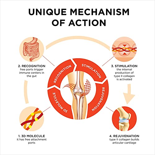 Collanol - Innovation in The Care of Healthy Joints - Liquid Formula in a Double Capsule 3D Collagen CollanolAu supplements
