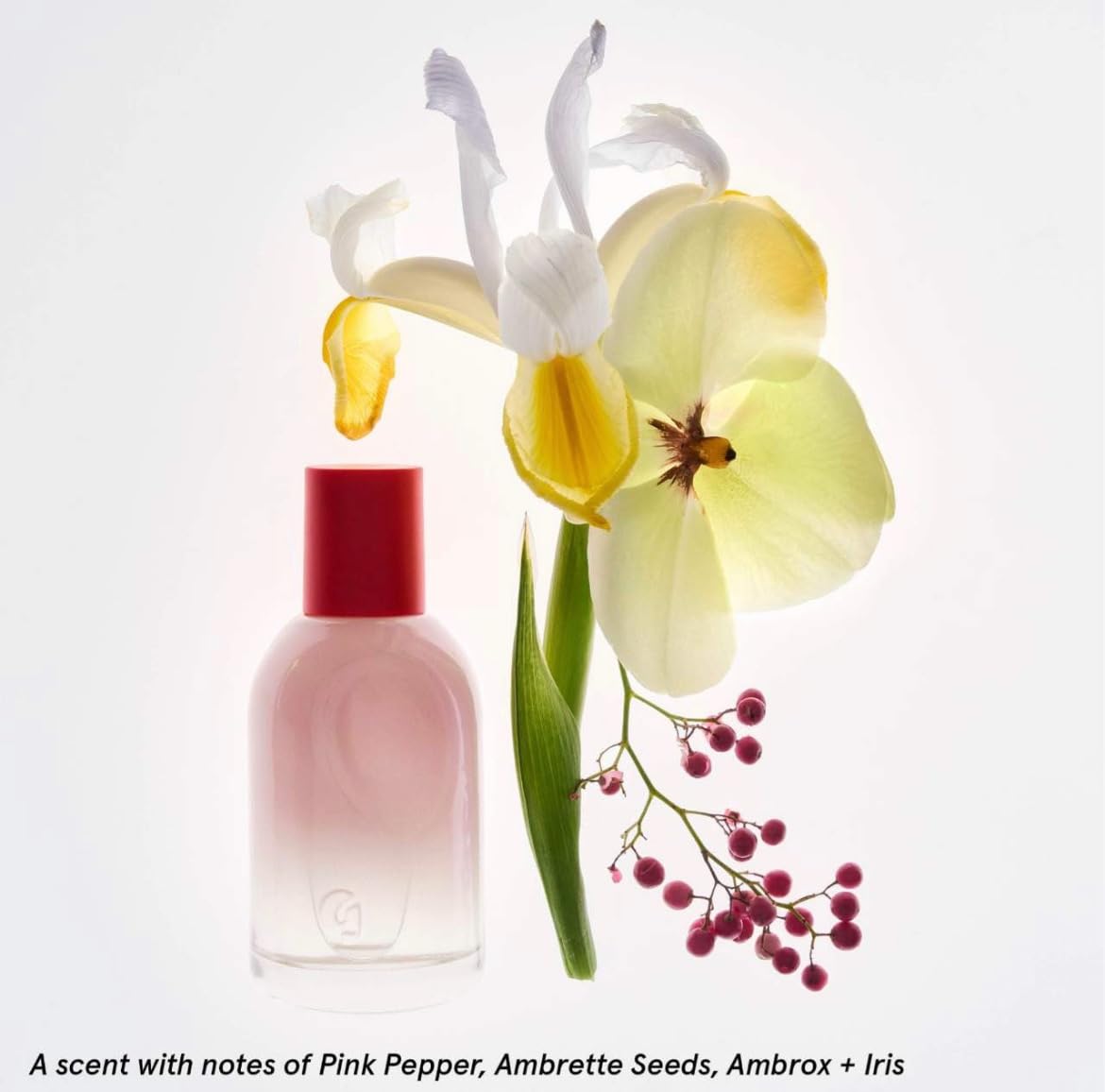 Glossier You Limited Edition Two of You Eau de Parfum Holiday Gift Set - Full Size Spray (1.7oz / 50ml) and Travel Size Rollerball (0.27oz / 8ml) GlossierAu supplements