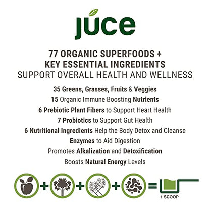 Terra Kai Organics JUCE Green Superfood Powder, Organic Fruits and Veggies Supplement Terra Kai OrganicsUS supplements