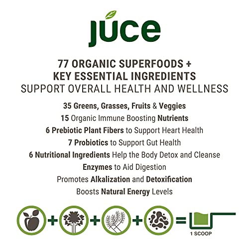 Terra Kai Organics JUCE Green Superfood Powder, Organic Fruits and Veggies Supplement Terra Kai OrganicsUS supplements
