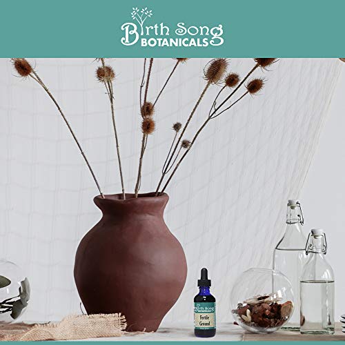 Birth Song Botanicals Fertile Ground Fertility Liquid Tincture, Herbal Supplement to Help Regulate Birth Song BotanicalsAu supplements