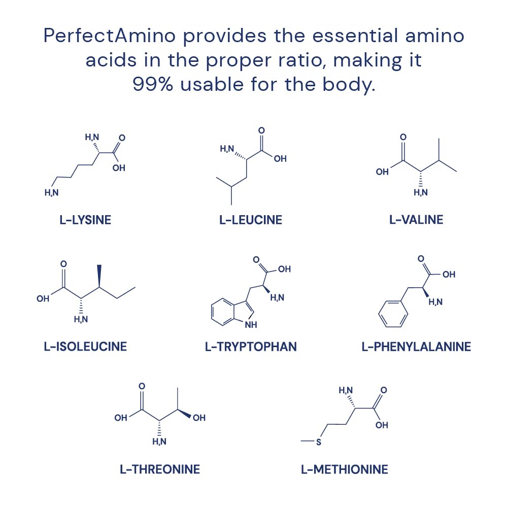 BodyHealth PerfectAmino (150 ct) Easy to Swallow Tablets, Essential Amino Acids Supplement with BCAAs, Vegan Protein for Pre/Post Workout & Muscle Recovery with Lysine BodyHealthUS supplements