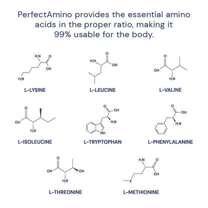 BodyHealth PerfectAmino (150 ct) Easy to Swallow Tablets, Essential Amino Acids Supplement with BCAAs, Vegan Protein for Pre/Post Workout & Muscle Recovery with Lysine BodyHealthUS supplements