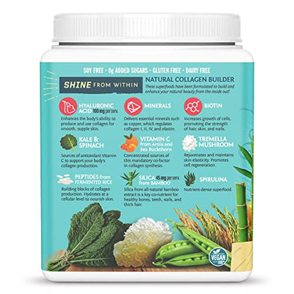 Sunwarrior Plant-Based Vegan Youthful Beauty Collagen Building Protein Peptides SunwarriorUS supplements